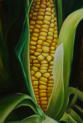 Corn Warrior - Original size: 24x36 - Cat#4